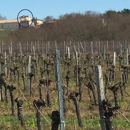 Superbe Gite A La Campagne Dans Le Bordelais Saint-Vivien-de-Blaye Dış mekan fotoğraf